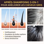 Load image into Gallery viewer, Champooing noircissant anti-cheveux gris- Nourrit les cheveux-naturel sans effets sécondaire (CTN)
